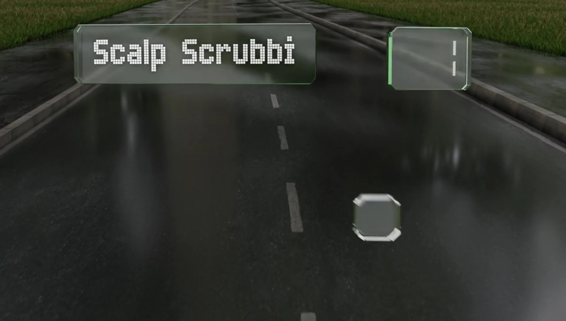 Analys Scalp Scrubby