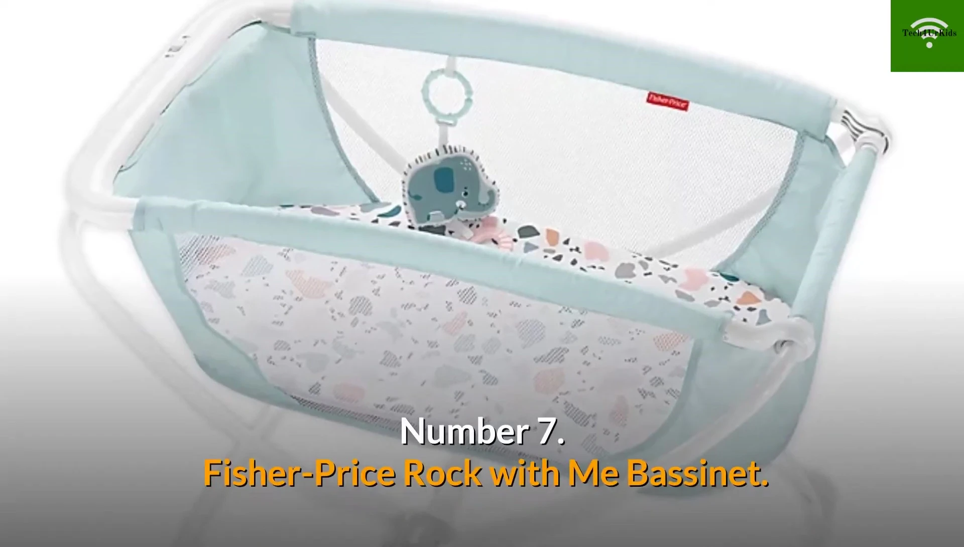 Fisher-Price Rock 'n Play Bassinet