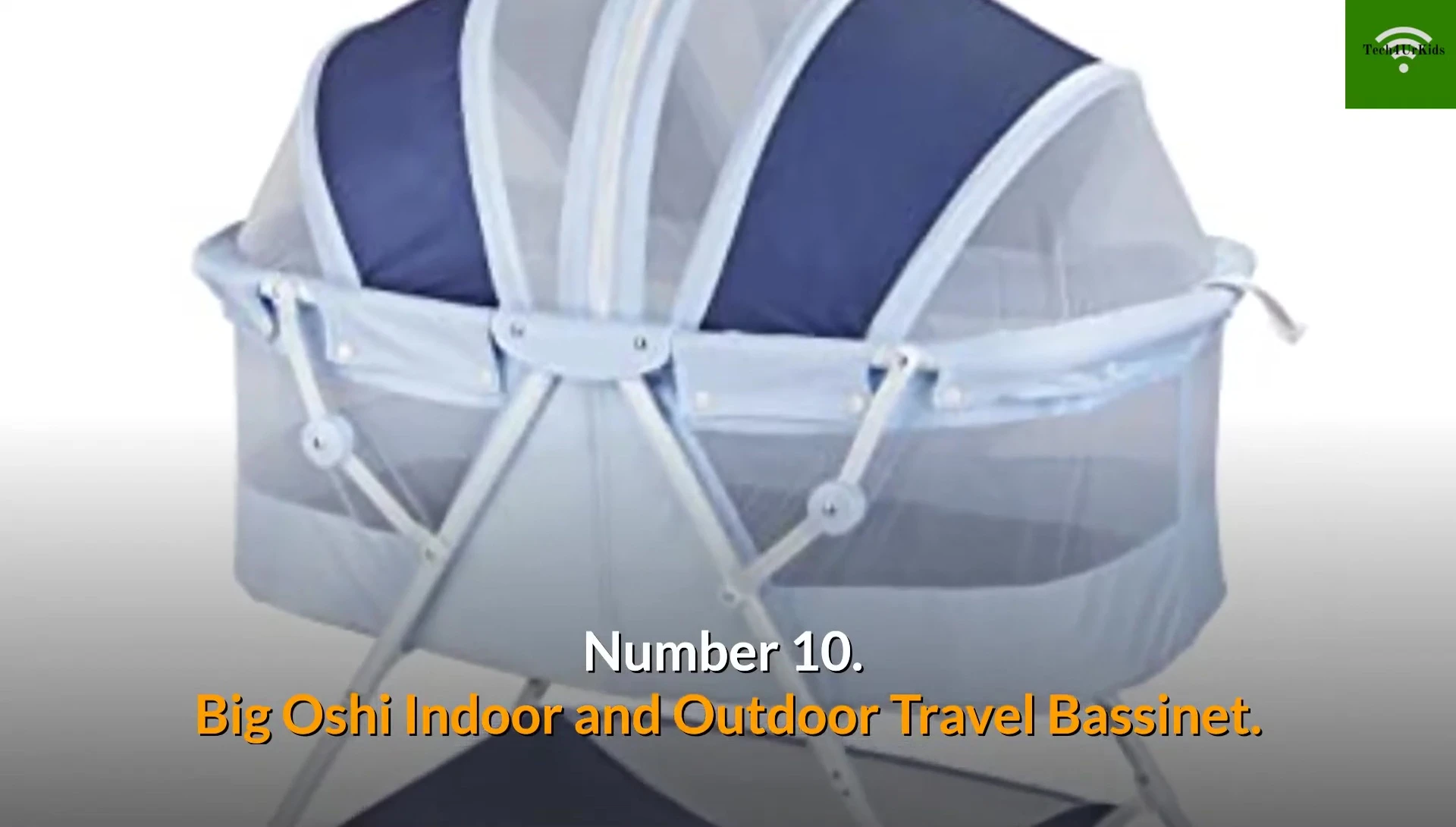 Big Oshi bassinet with dual canopy