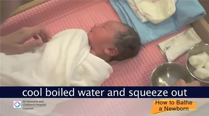 Clean eyes: Dip a cotton ball in cool boiled water, squeeze out excess, and gently wipe each eye from the inner to outer corner using a new cotton ball for each eye.