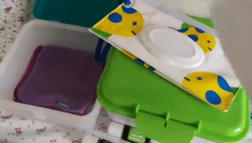 A Cheeky Wipes wet bag.