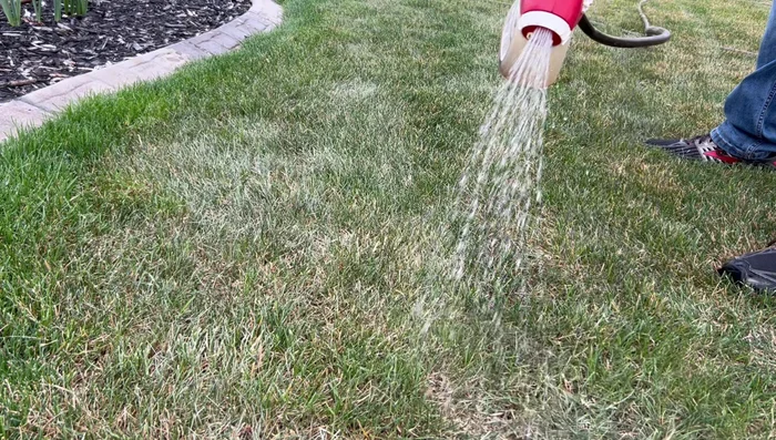 Focus on dry spots. Give these areas extra attention, applying more solution until you see the water being absorbed into the soil.